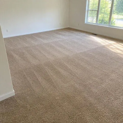 Finished beige carpet with vacuum lines in living room after carpet installation