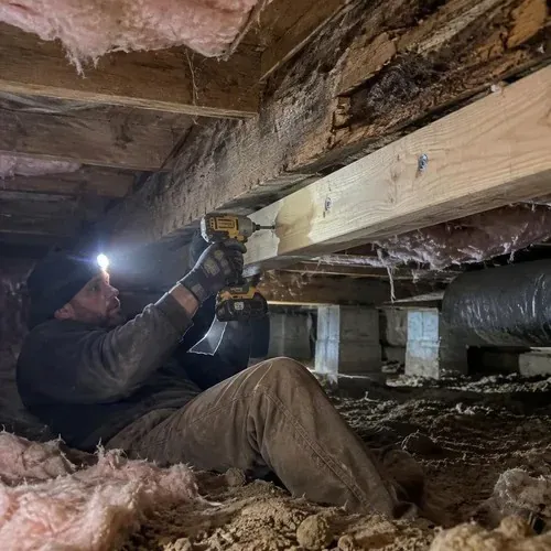Handyman sistering floor joist in crawlspace during floor and subfloor repair