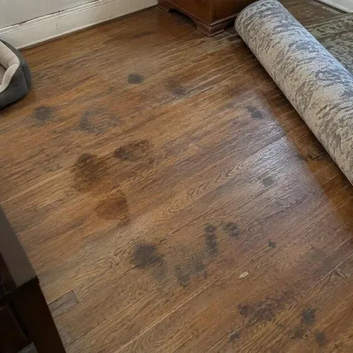 Pet stains and dark spots on old hardwood before hardwood floor sanding and refinishing